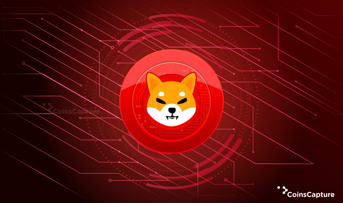 Shiba Inu (SHIB): How Does This Crypto Work?