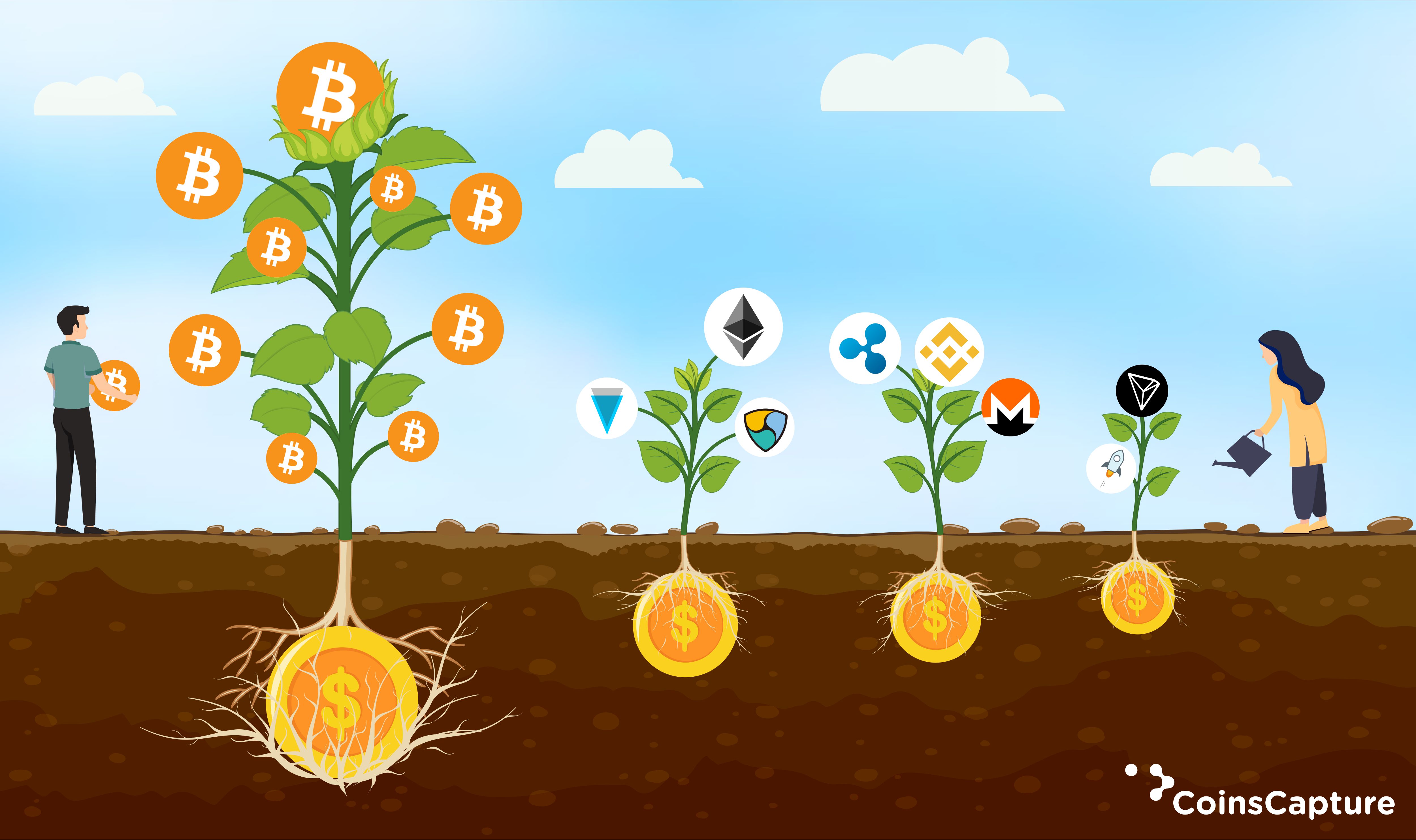 5 most promising Altcoins for long-term investments