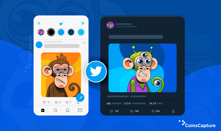 How to Set an NFT as Your Twitter Profile Picture?