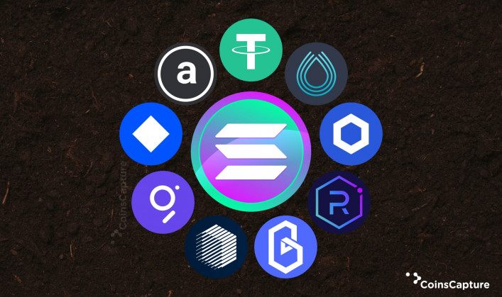 10 Most Popular Coins in Solana Ecosystem