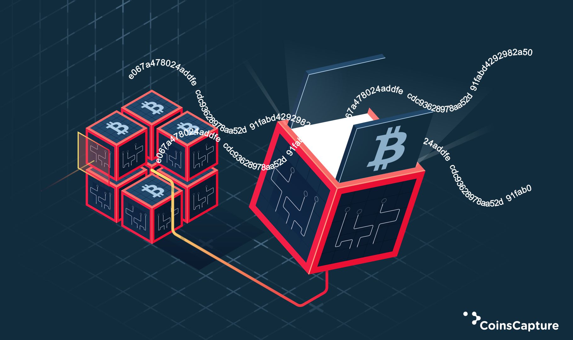 The Basics To Learn About Bitcoin Hash Functions