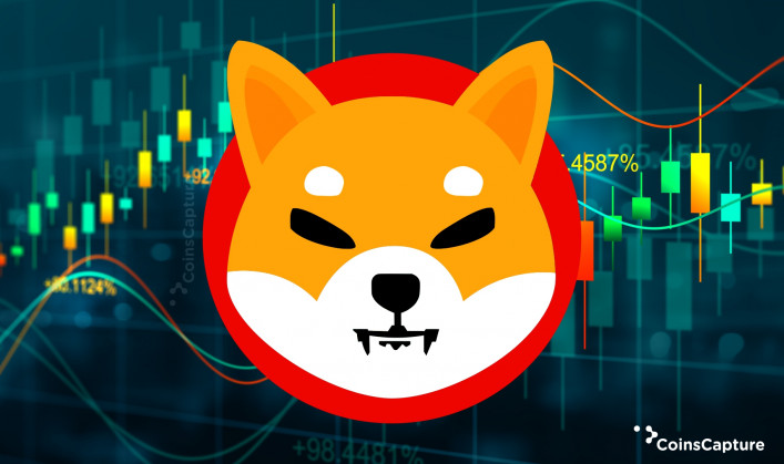 What is Shiba Inu?