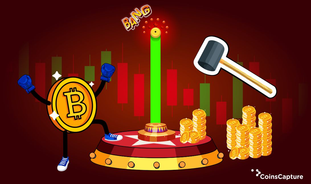 All that you need to know about Pump and Dump
