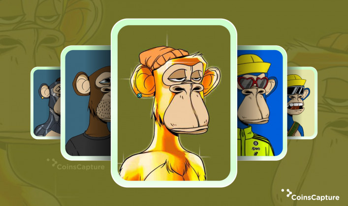 Bored Ape NFTs: How Does it Work?