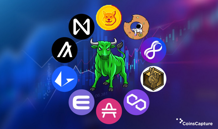 10 Best Cryptos to Purchase For a Short-Term Bull Run