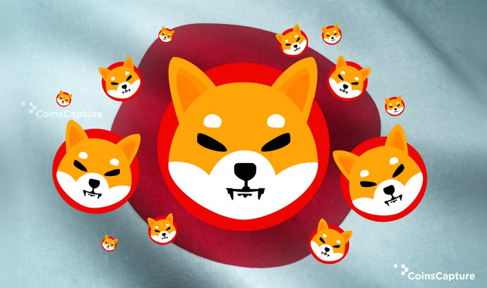 How to Purchase SHIBA INU (SHIB) in Japan?