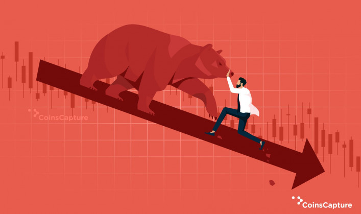 What to Do in a Bear Market?