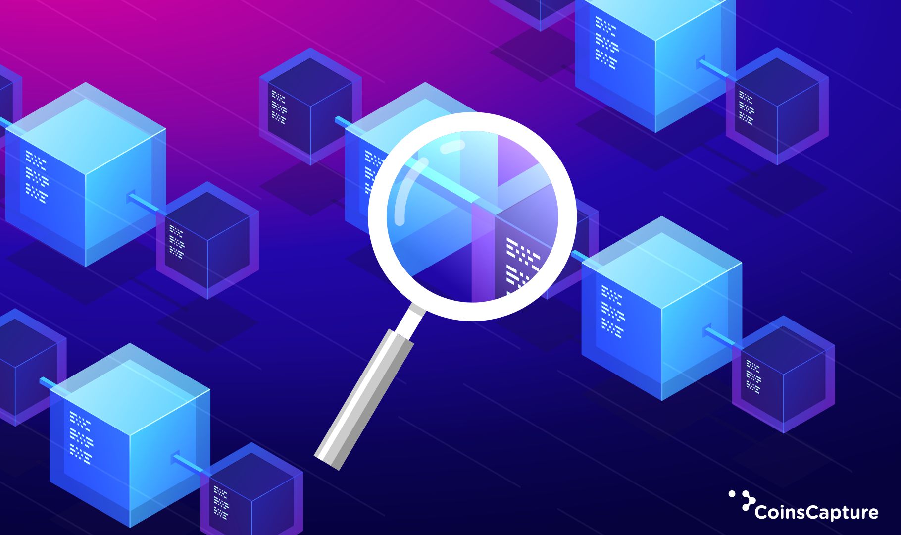 5 Finest Bitcoin Blockchain Explorers