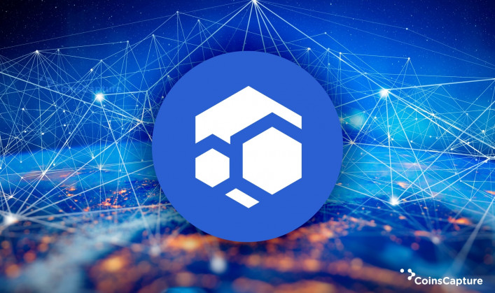 What Is Flux (FLUX)?