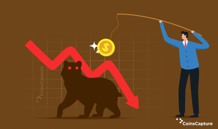 7 Coins to Purchase to Beat the Bear Market for Winter 2023