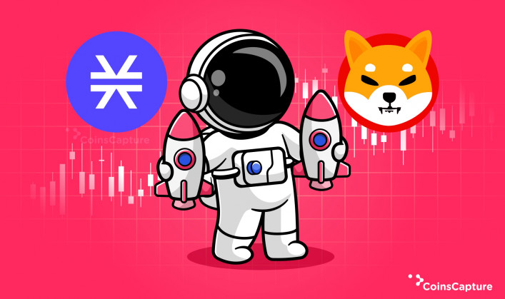Can Shiba Inu & Stacks Benefit From Rocketizing Innovations?
