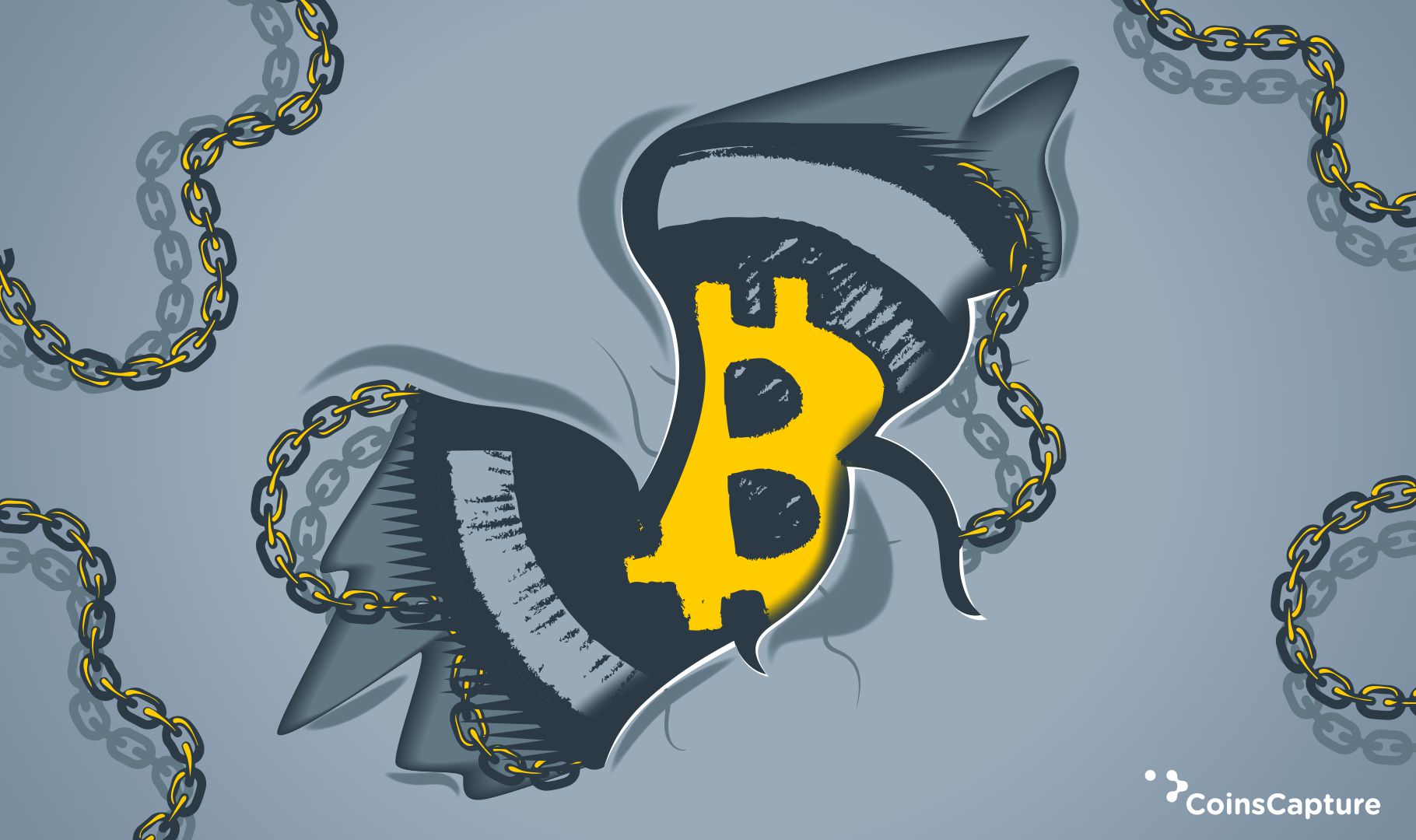 Factors That Determine The Price Of Bitcoin
