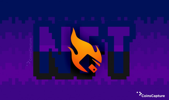 What is a Crypto Burner Wallet for NFT Minting & Airdrop?