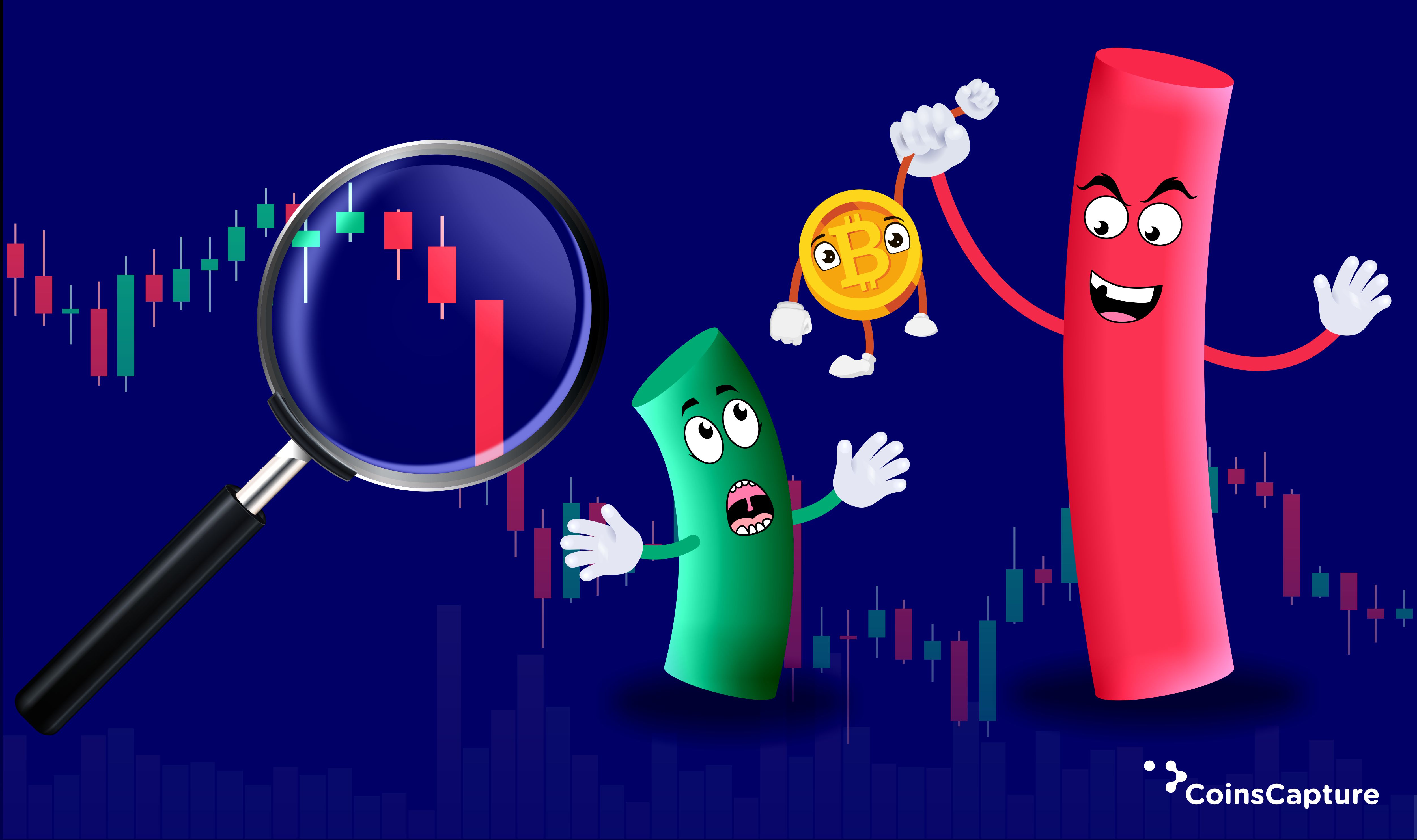 Guide to Read Crypto Charts