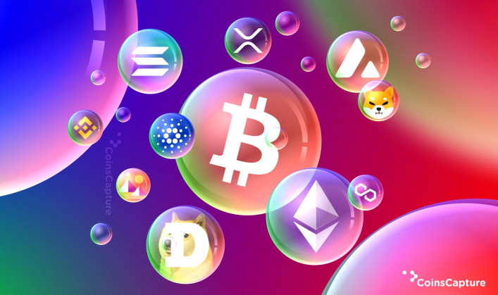 Crypto Bubble: How Does It Work?
