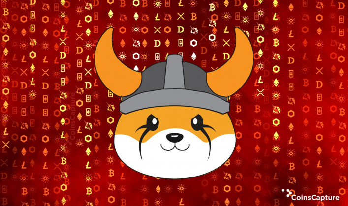What is Floki Inu (FLOKI)?
