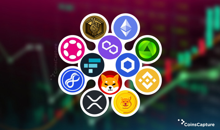 Top 12 Altcoins to Purchase in November 2022