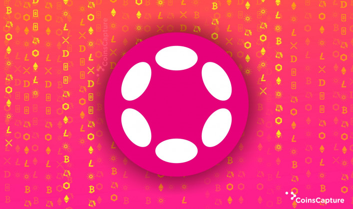 What Is A Polkadot?