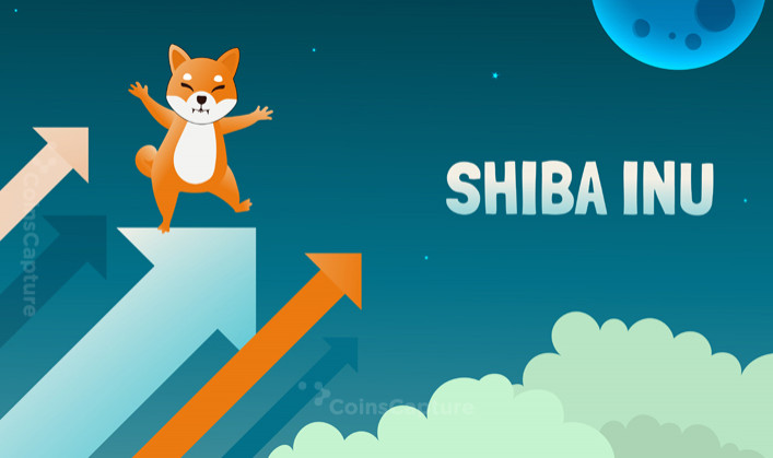 SHIB Inu Flips FTX As Ethereum Whales’ Second Largest Holding