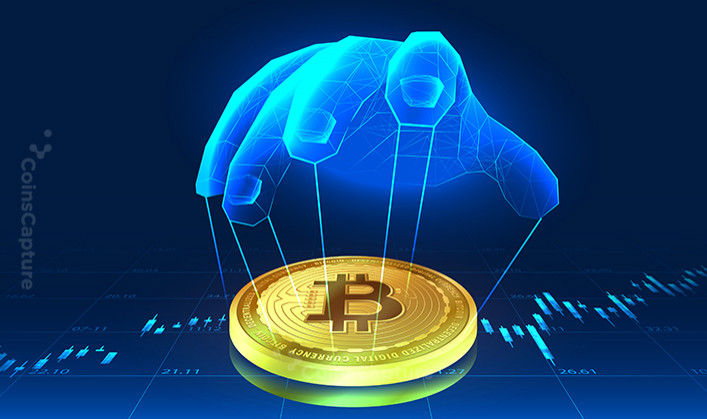 MicroStrategy And Tesla Own The Lion’s Share Of Bitcoin