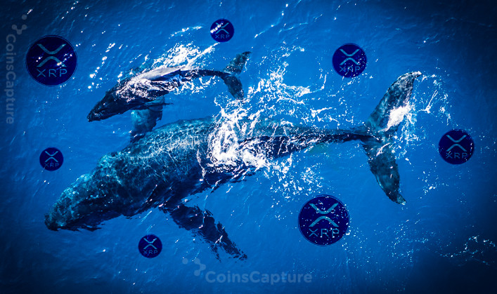 CoinsCapture - Cryptocurrency Trading Prices Today, Live Chart , Market Trades & Cap