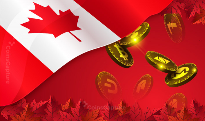 30 Percent Of Canadians Invest Actively In Crypto: Survey Reports