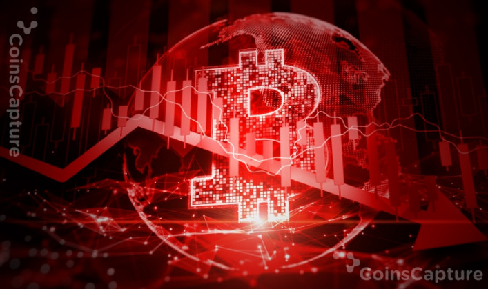 Majority of Wall Street Investors Expect Bitcoin to Drop to $10,000
