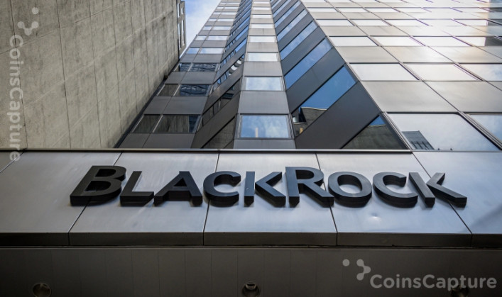 Asset Manager BlackRock Deny Involvement In Terra Fall