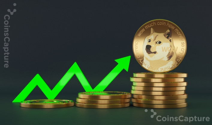 Dogecoin Transactions Witnessed A Massive Spike
