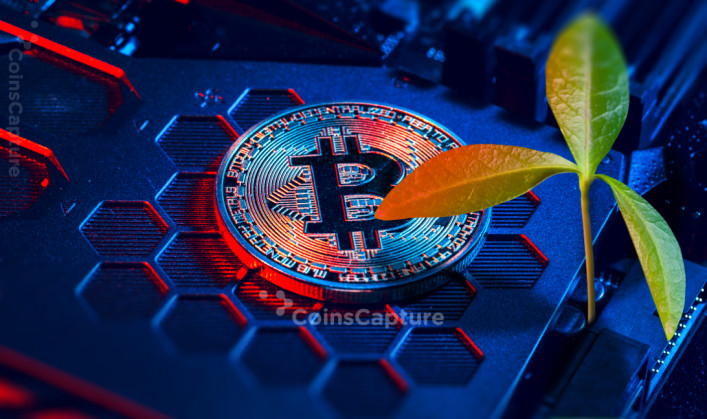 CoinsCapture - Cryptocurrency Trading Prices Today, Live Chart , Market Trades & Cap