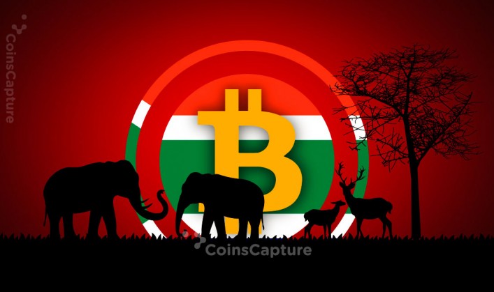 CoinsCapture - Cryptocurrency Trading Prices Today, Live Chart , Market Trades & Cap