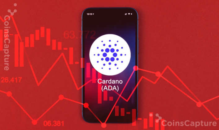 Cardano Sees Big Drop In Number Of Unique Addresses