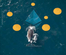 CoinsCapture - Cryptocurrency Trading Prices Today, Live Chart , Market Trades & Cap