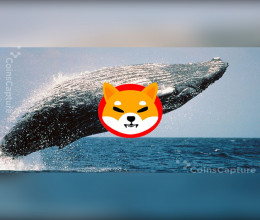 CoinsCapture - Cryptocurrency Trading Prices Today, Live Chart , Market Trades & Cap
