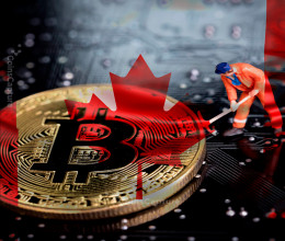 CoinsCapture - Cryptocurrency Trading Prices Today, Live Chart , Market Trades & Cap