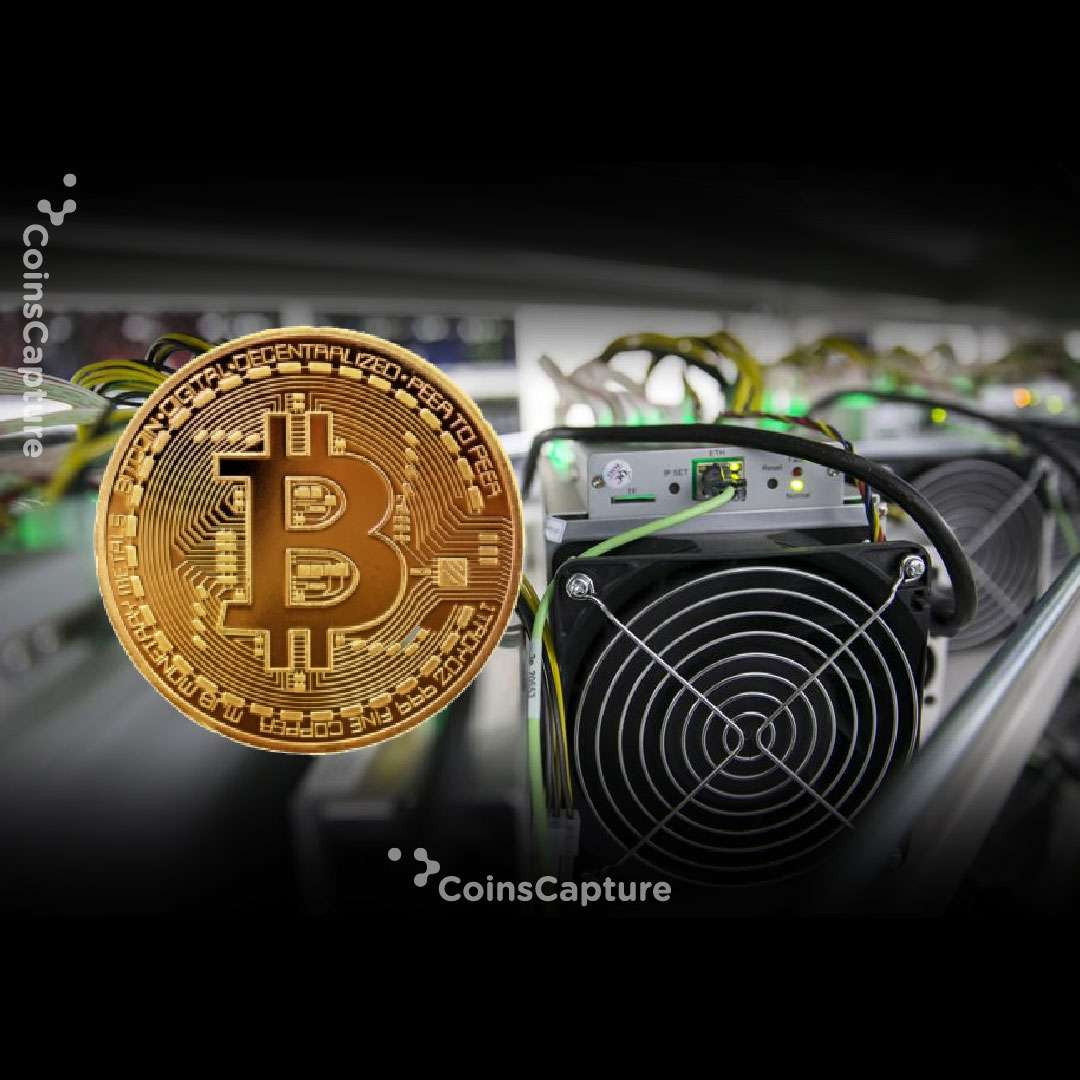 CoinsCapture - Cryptocurrency Trading Prices Today, Live Chart , Market Trades & Cap