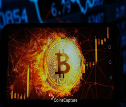 CoinsCapture - Cryptocurrency Trading Prices Today, Live Chart , Market Trades & Cap