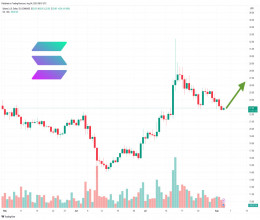 CoinsCapture - Cryptocurrency Trading Prices Today, Live Chart , Market Trades & Cap