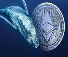 CoinsCapture - Cryptocurrency Trading Prices Today, Live Chart , Market Trades & Cap