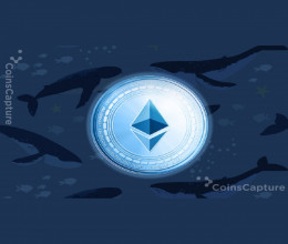 CoinsCapture - Cryptocurrency Trading Prices Today, Live Chart , Market Trades & Cap