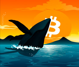 CoinsCapture - Cryptocurrency Trading Prices Today, Live Chart , Market Trades & Cap