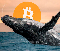 CoinsCapture - Cryptocurrency Trading Prices Today, Live Chart , Market Trades & Cap