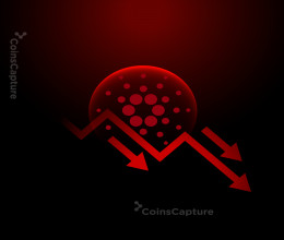 CoinsCapture - Cryptocurrency Trading Prices Today, Live Chart , Market Trades & Cap