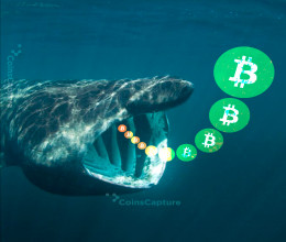 CoinsCapture - Cryptocurrency Trading Prices Today, Live Chart , Market Trades & Cap
