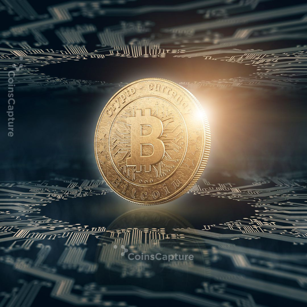 CoinsCapture - Cryptocurrency Trading Prices Today, Live Chart , Market Trades & Cap