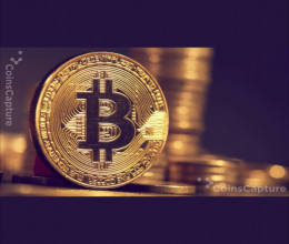 CoinsCapture - Cryptocurrency Trading Prices Today, Live Chart , Market Trades & Cap
