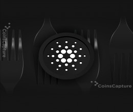 CoinsCapture - Cryptocurrency Trading Prices Today, Live Chart , Market Trades & Cap