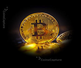 CoinsCapture - Cryptocurrency Trading Prices Today, Live Chart , Market Trades & Cap