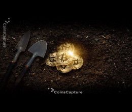 CoinsCapture - Cryptocurrency Trading Prices Today, Live Chart , Market Trades & Cap
