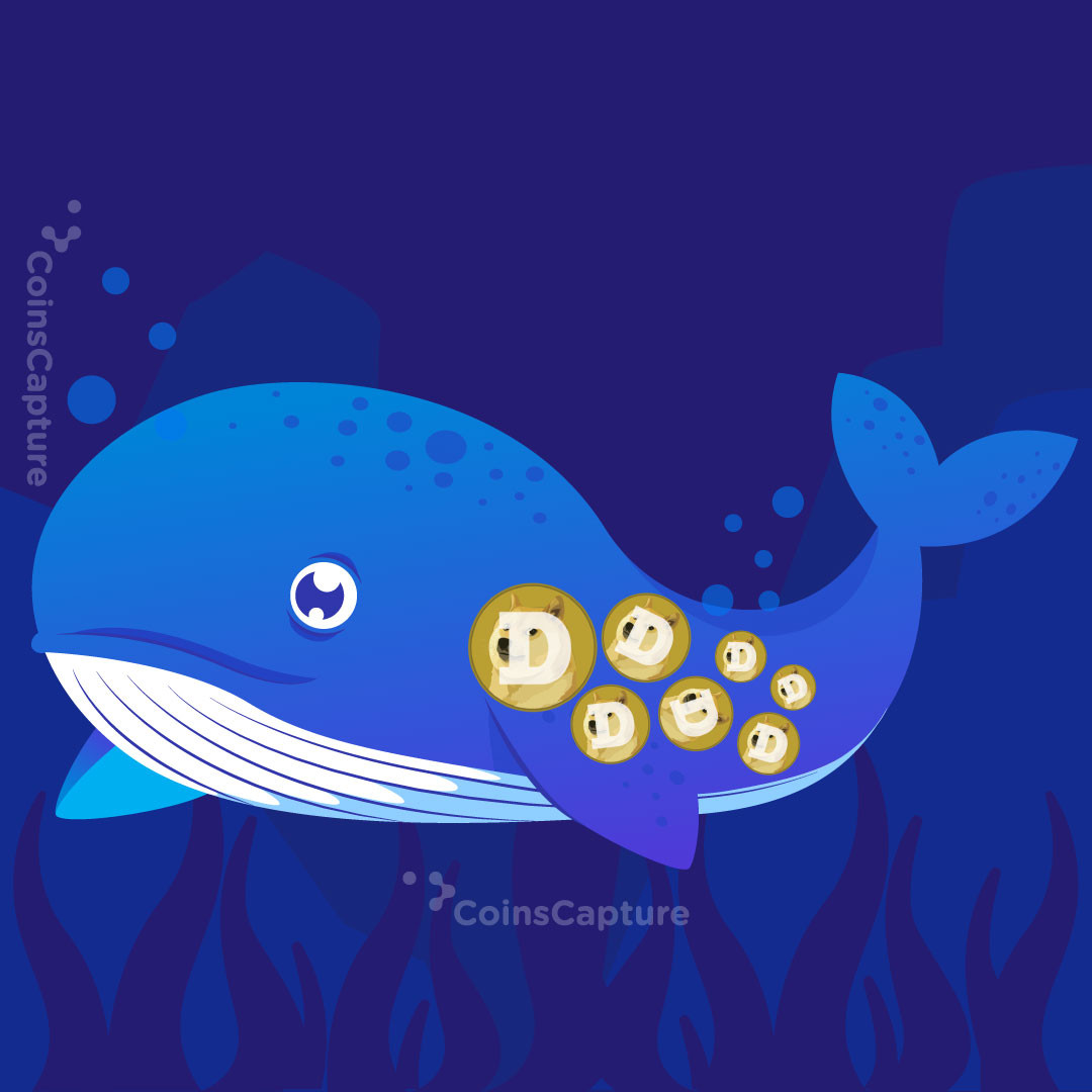 CoinsCapture - Cryptocurrency Trading Prices Today, Live Chart , Market Trades & Cap